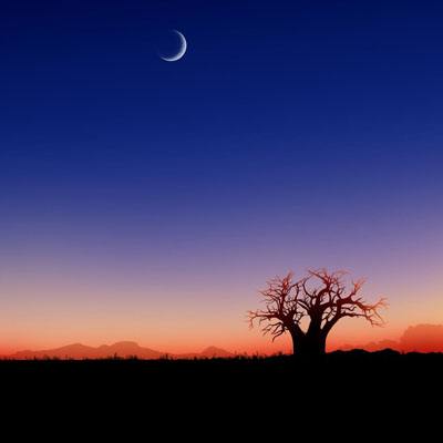 火狐体育APP体育下载手机版