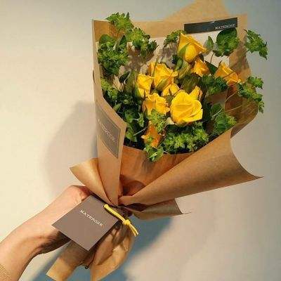 乐鱼官方app下载